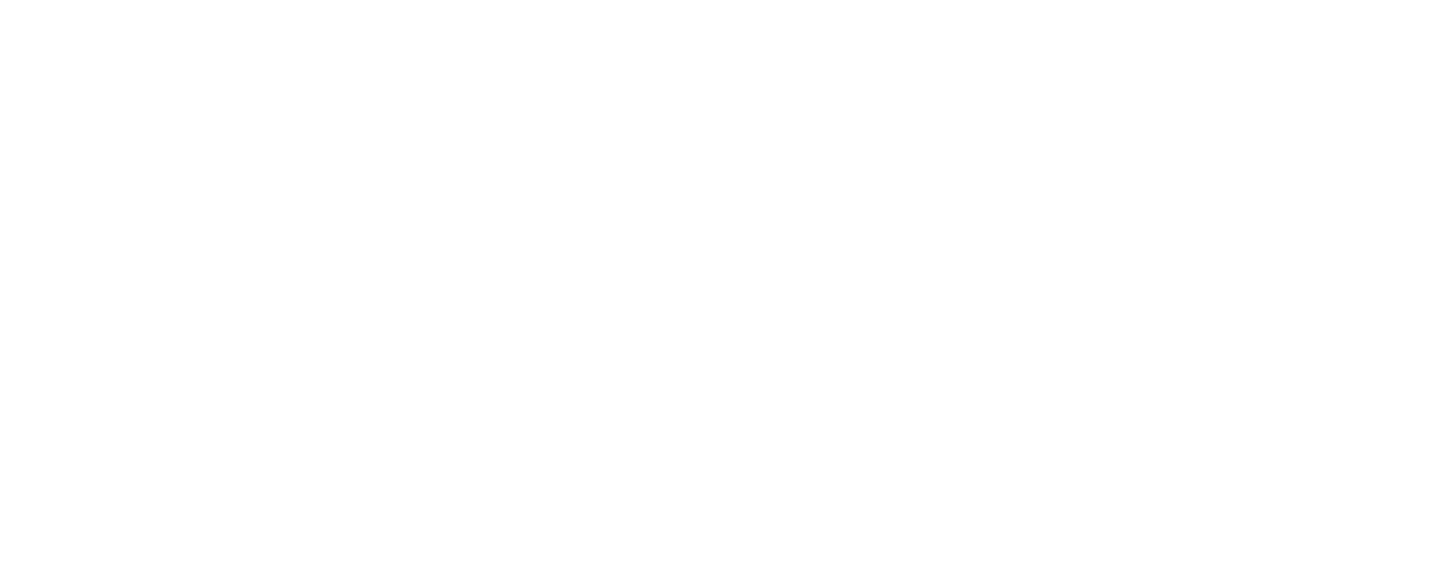 Party Passport